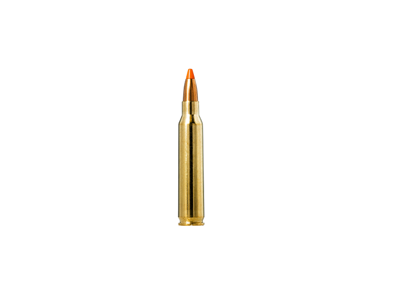 Norma | TIPSTRIKE Varmint .223 Remington 55gr