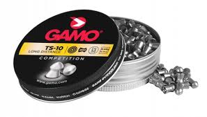 Gamo ts-22 long distance .22 pellet