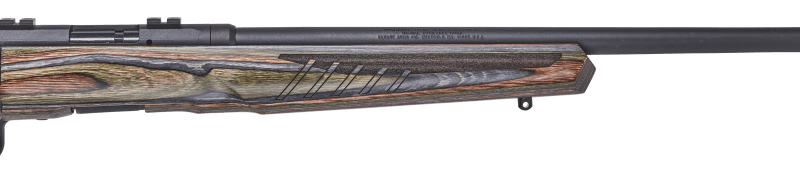 Savage | B17 BNS-SR | .17 | B/A | Laminate