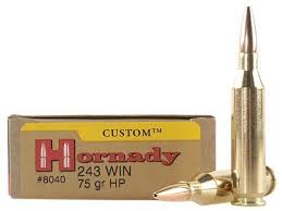 Hornady 243 Win 75gr HP