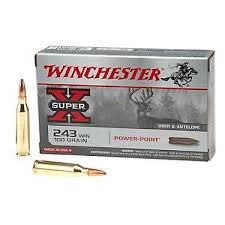 Winchester | 243 power point | 100gr